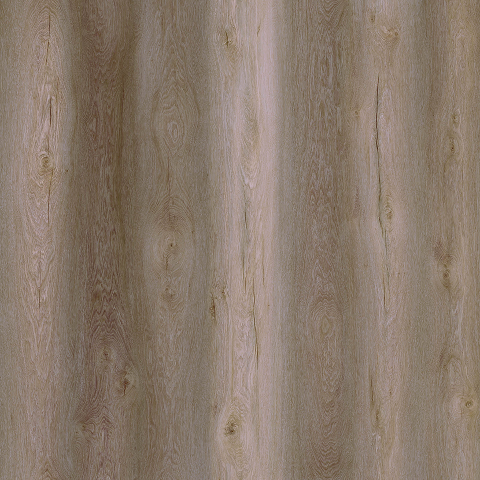 Gnarrenburg Eiche BraunD 81002 _ EXQUISIT-2