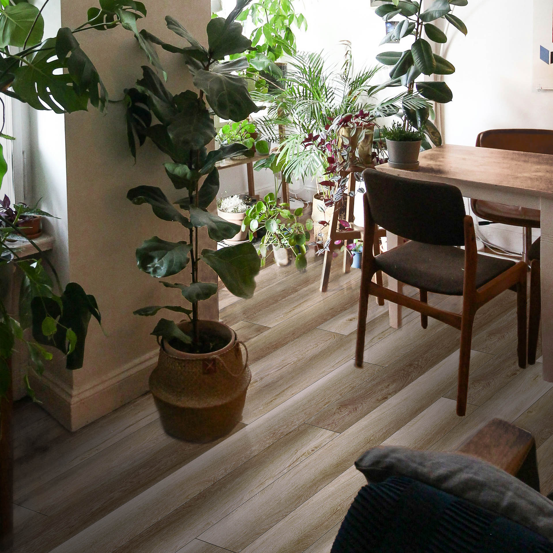 Gnarrenburg Eiche BraunD 81002 _ EXQUISIT-4