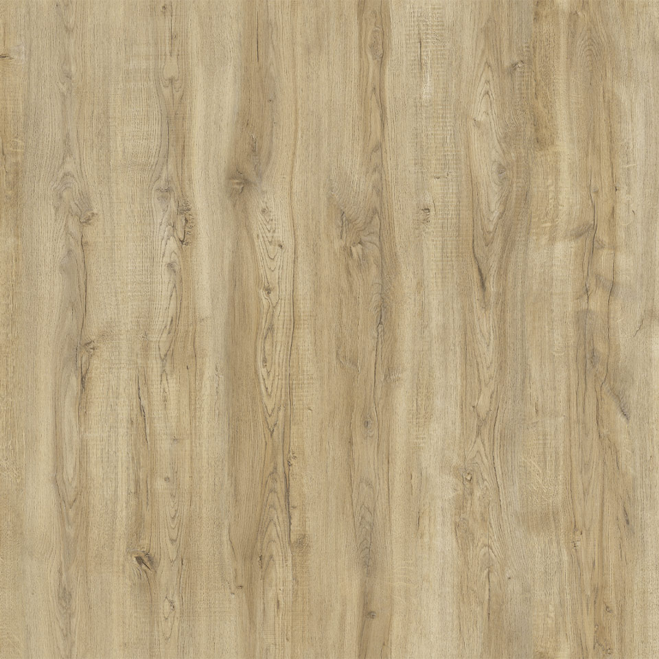 D3661-Montmelo-Eiche-Natur_2_1