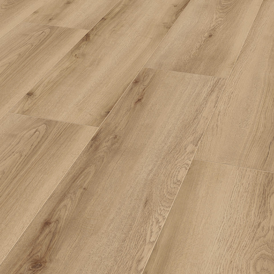 D80962-Edersee-Eiche-Natur_2