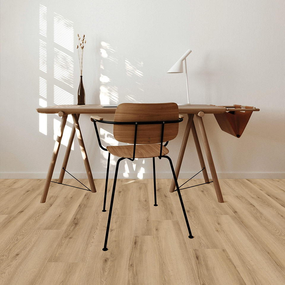 D80962-Edersee-Eiche-Natur_4