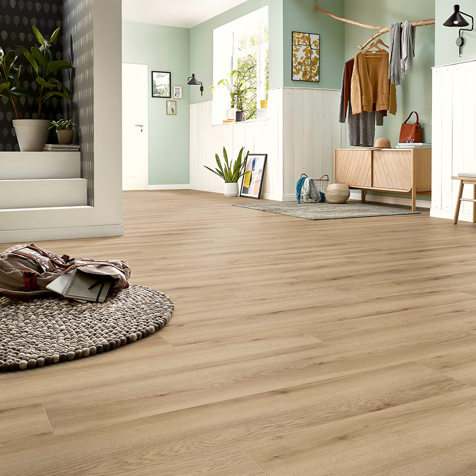 D80962-Edersee-Eiche-Natur_5