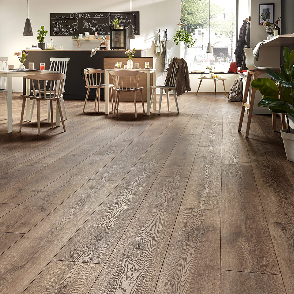 D-4726-Berg-Eiche-Braun_5