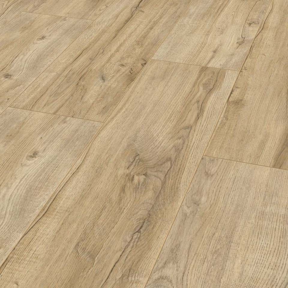 D3661-Montmelo-Eiche-Natur_2