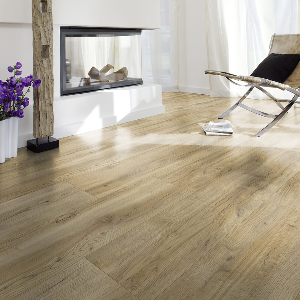 D3661-Montmelo-Eiche-Natur_3