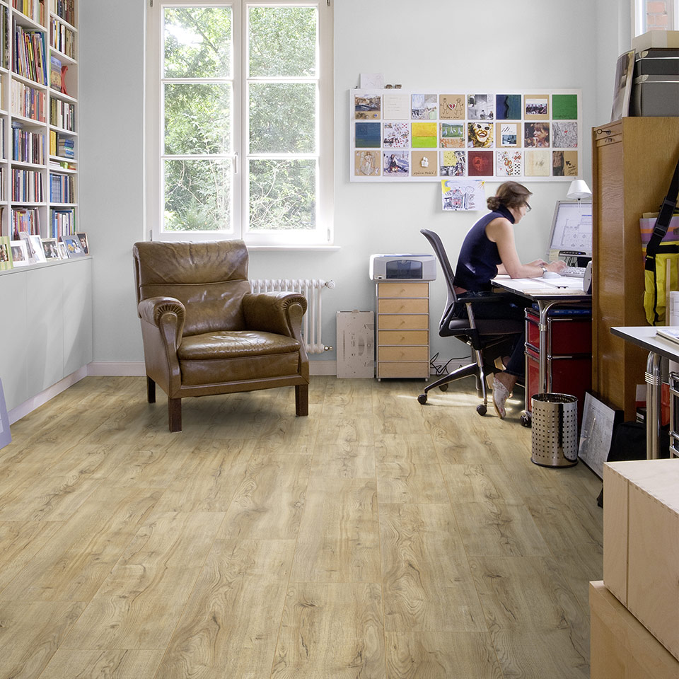 D3661-Montmelo-Eiche-Natur_4