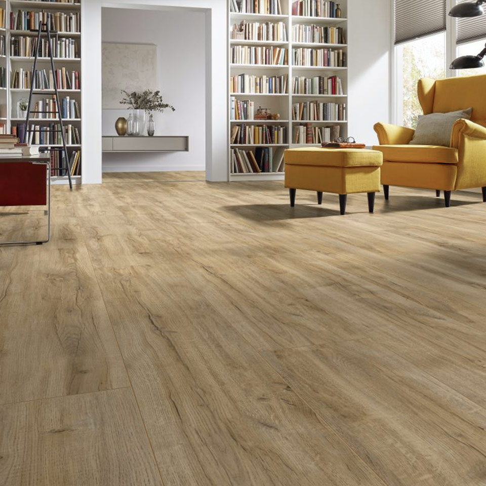 D3661-Montmelo-Eiche-Natur_5