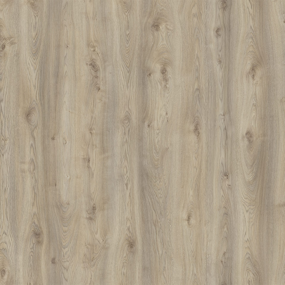 D3669-Makro-Eiche-Beige_2