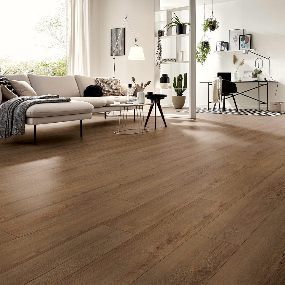 D41172-Horizont-Eiche-Kaffee_5