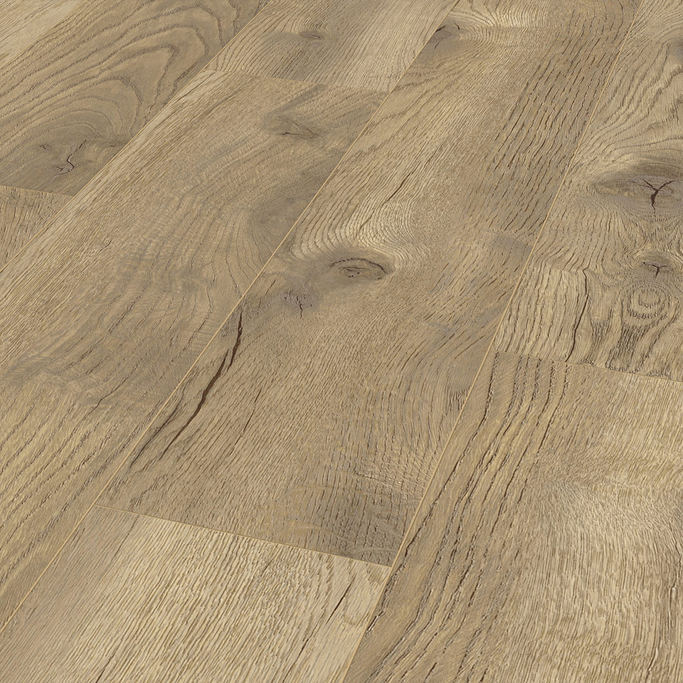 D4764-Pettersson-Eiche-natur_2