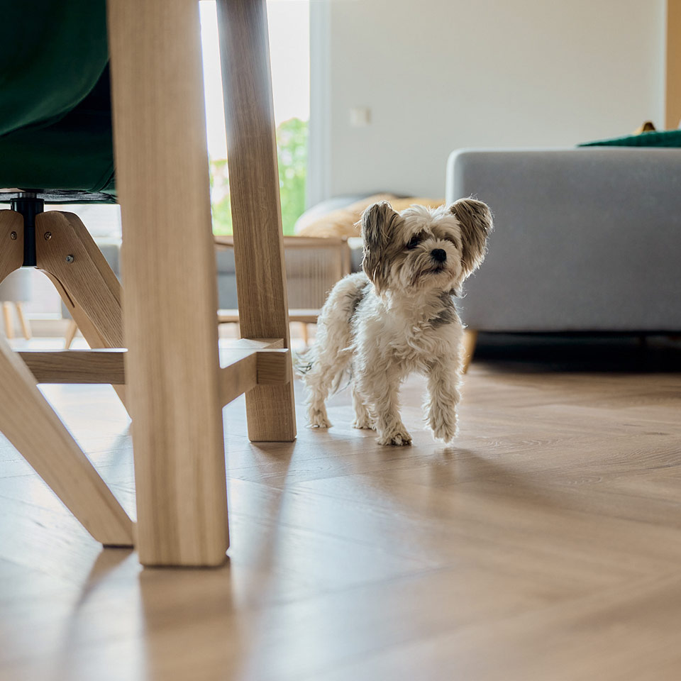 D4764-Treviso-Eiche_4