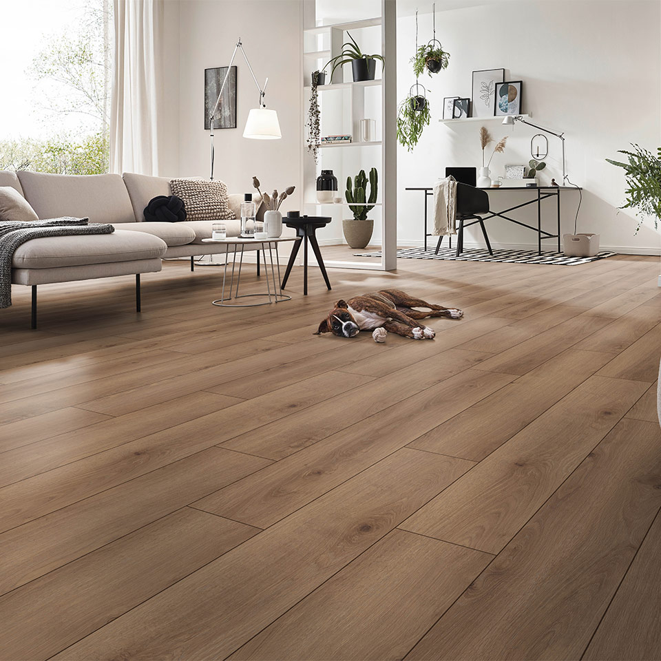 D81592_1380_193_V4---E4L_22081_M06_QF_sRGB