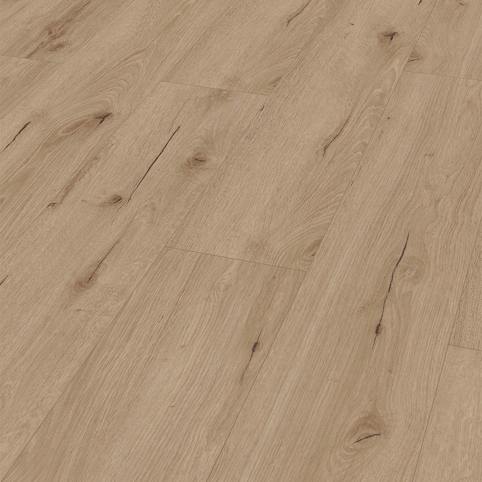 D81672_1375_188_V4---Area_A4_sRGB