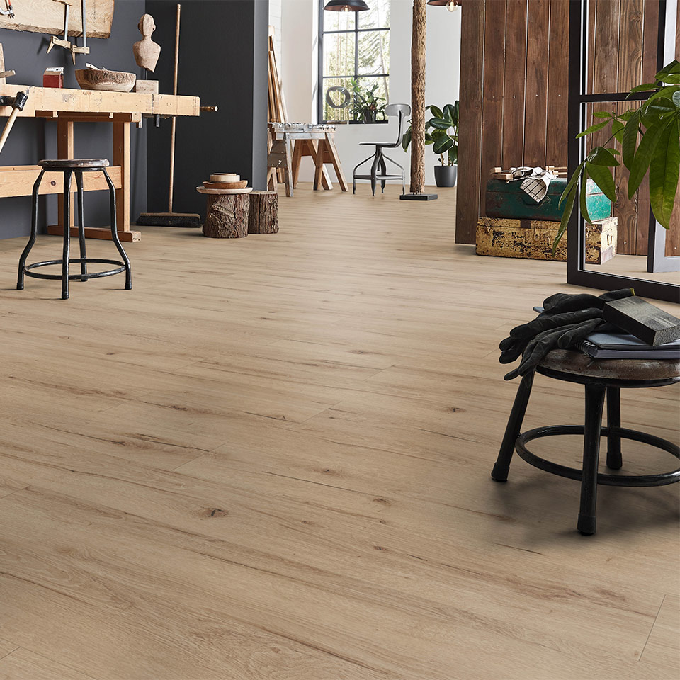 D81672_1375_188_V4---E4L_Robusto_2020_QF_sRGB