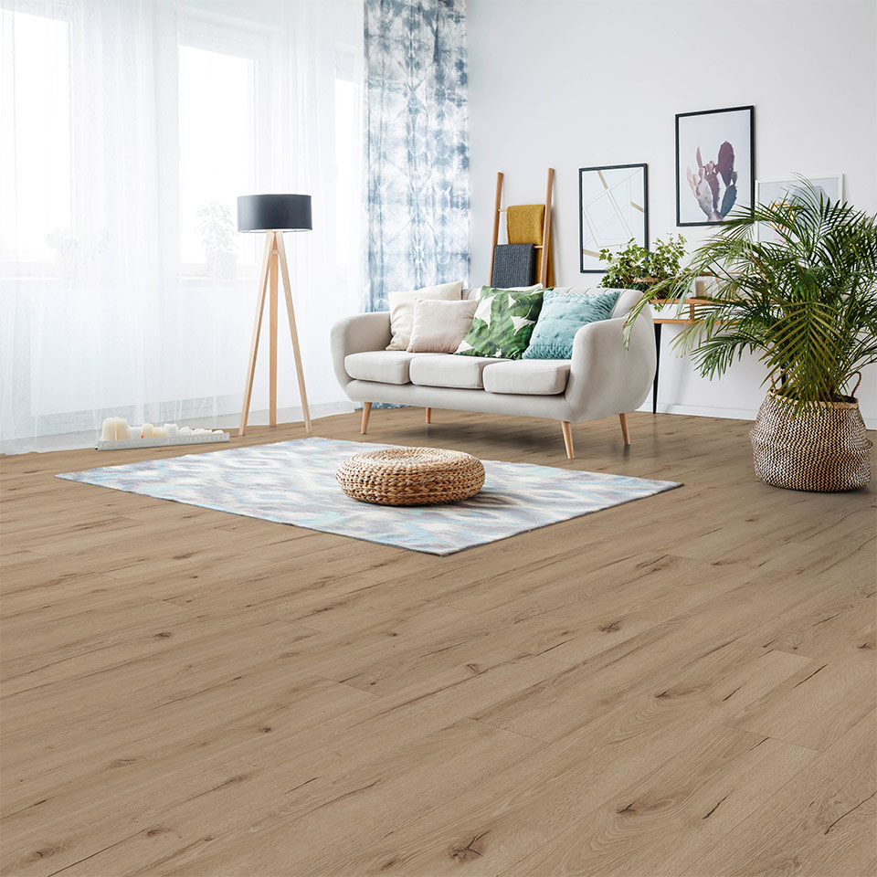 D81672_1375_188_V4---SH_791407645_sRGB