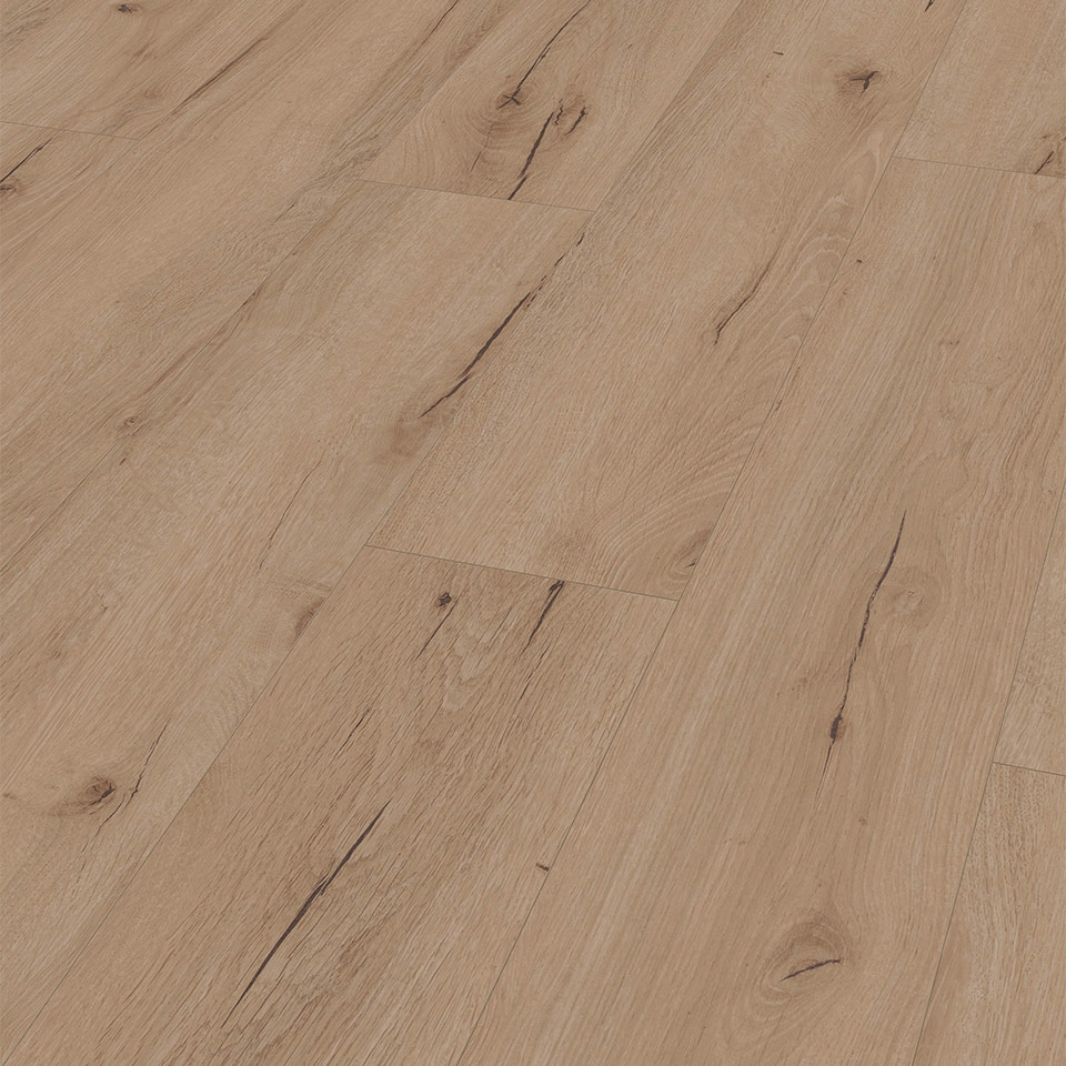 D81682_1375_188_V4---Area_A4_sRGB