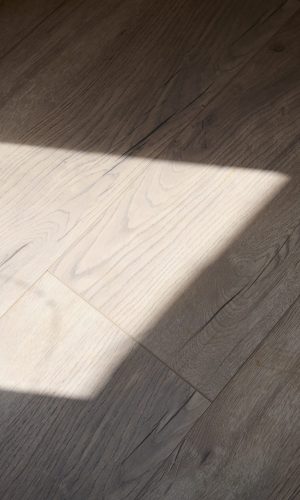 220504_Swiss_Krono_Familie_Hackbarth_1907