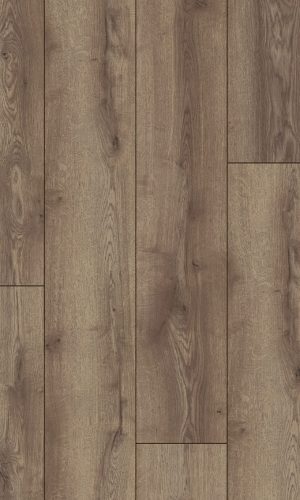 D-4726-Berg-Eiche-Braun_1