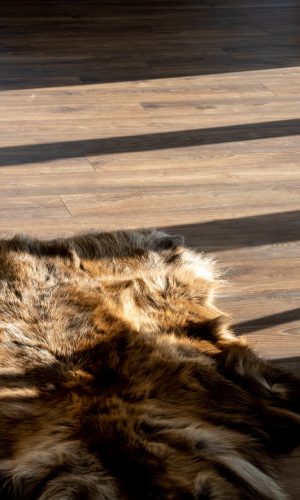 HS_Valentin_Fertig_151122-118