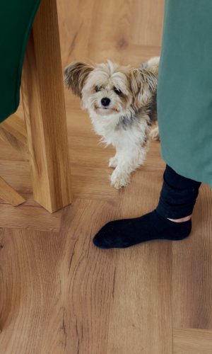 your home story familie apitz start